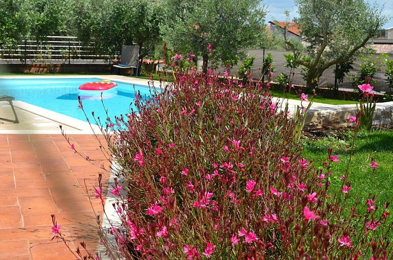 Holiday Home Sverko Novigrad Istria Exteriér fotografie